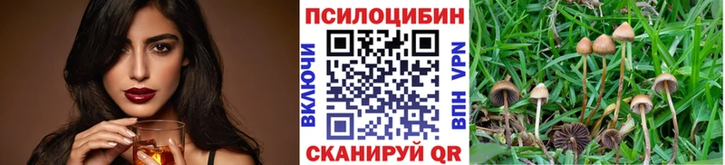 Псилоцибиновые грибы мухоморы  купить  цена  Мариинский Посад 